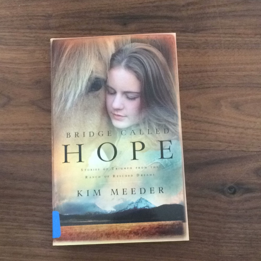 Bridge Called Hope book by Kim Meeder.